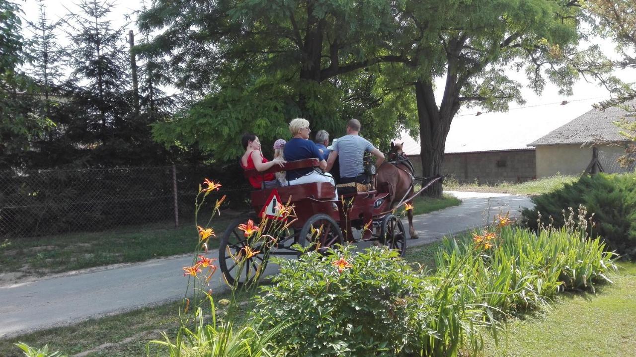 Swieze Poddasze U Przybyszow Andruszkowice Exterior foto