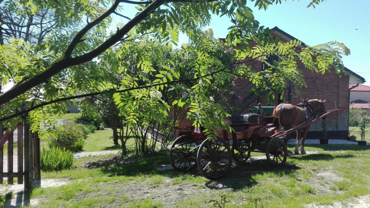 Swieze Poddasze U Przybyszow Andruszkowice Exterior foto